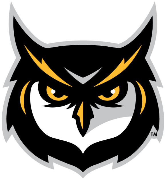 Kennesaw State Owls 2012-Pres Alternate Logo v3 iron on transfers for fabric